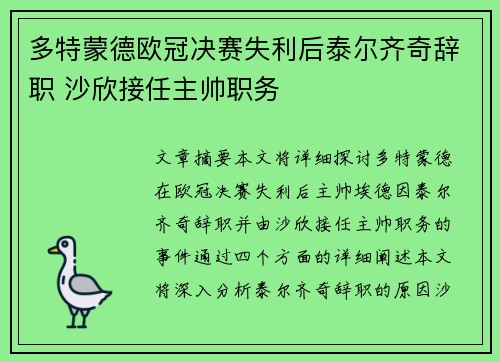 多特蒙德欧冠决赛失利后泰尔齐奇辞职 沙欣接任主帅职务