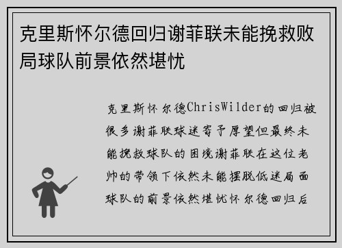 克里斯怀尔德回归谢菲联未能挽救败局球队前景依然堪忧